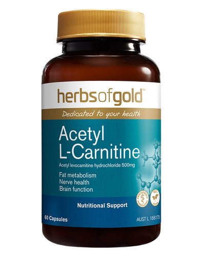 Base Nutrition | Acetyl L-Carnitine